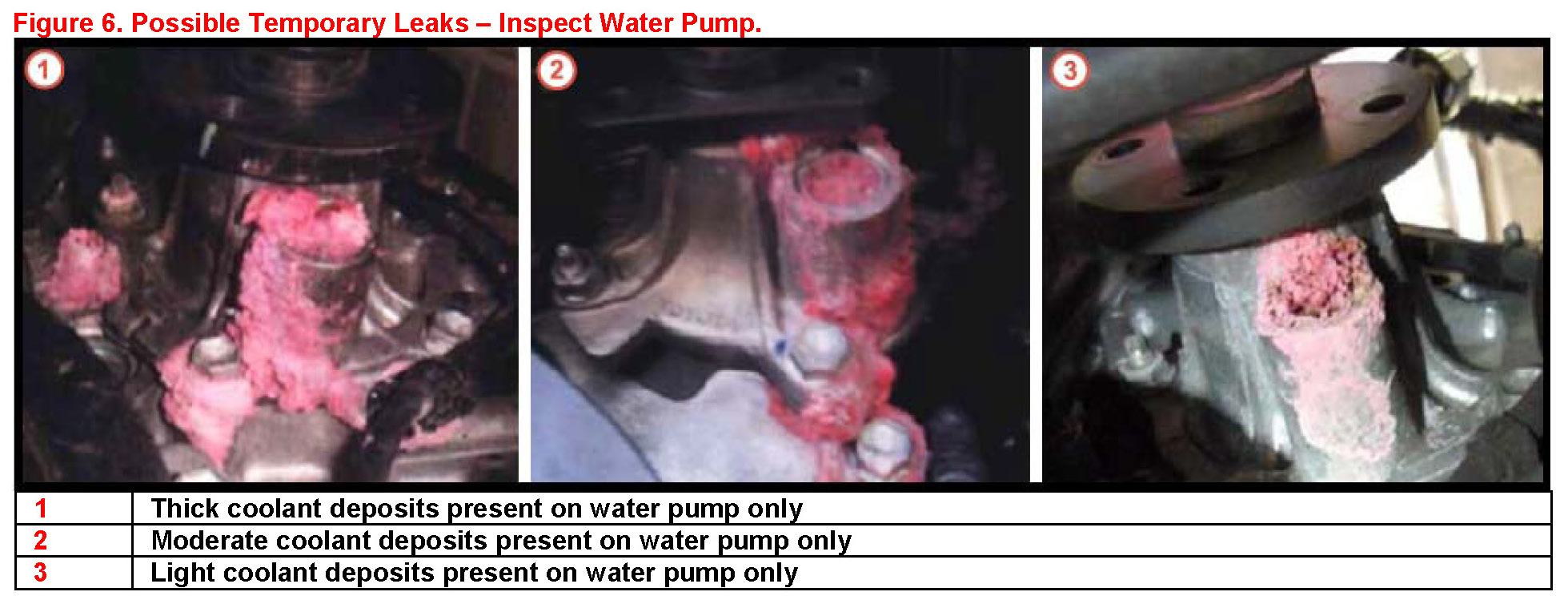 toyota coolant leak #5