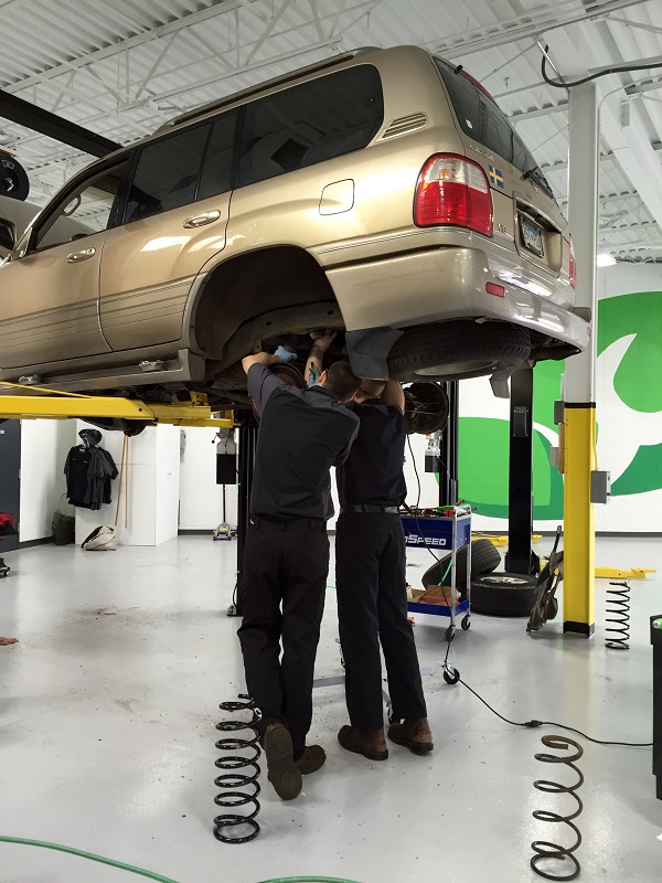 Two techs required to cut out the rear struts